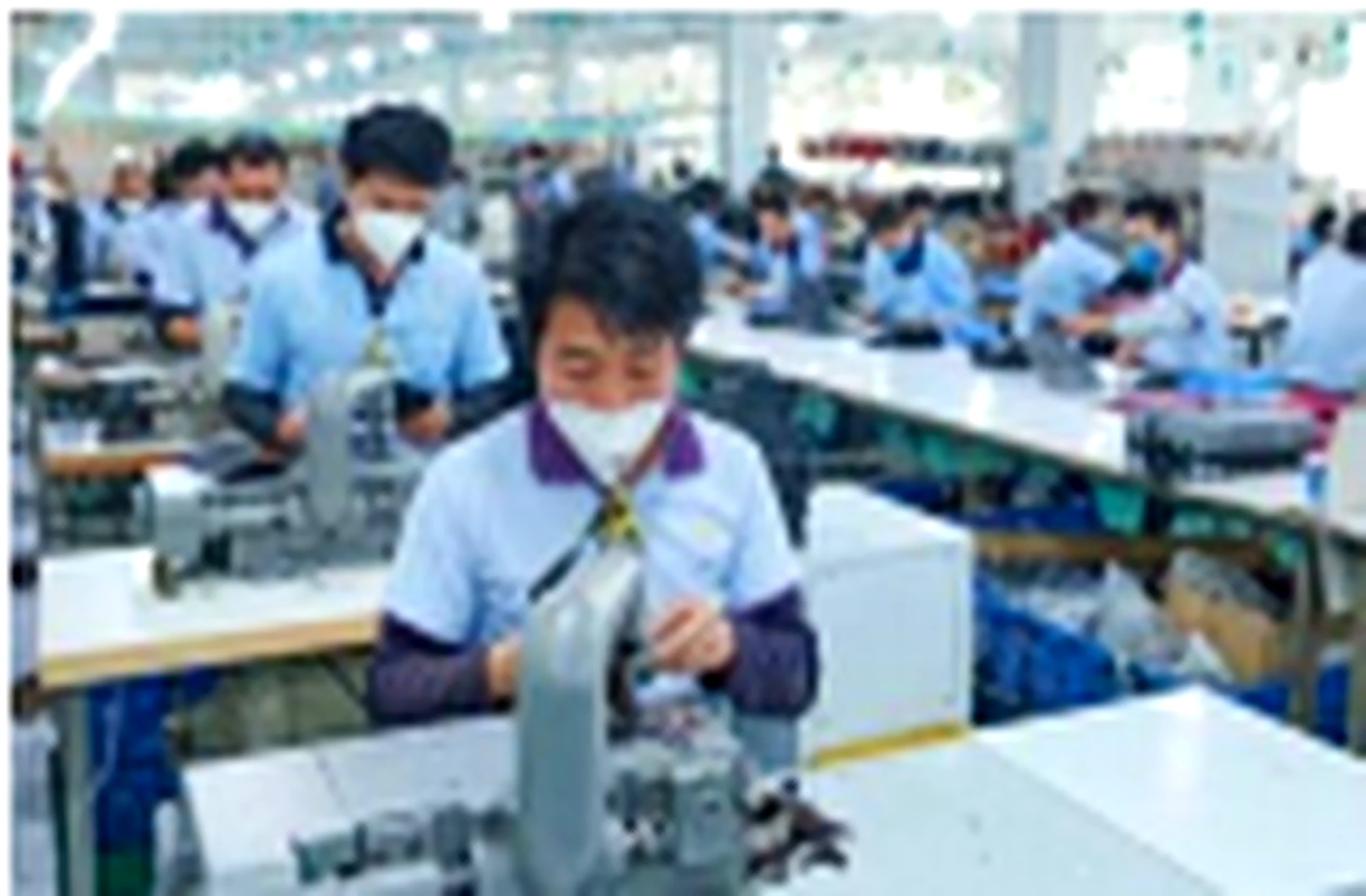 Zorro worker checking handbag details